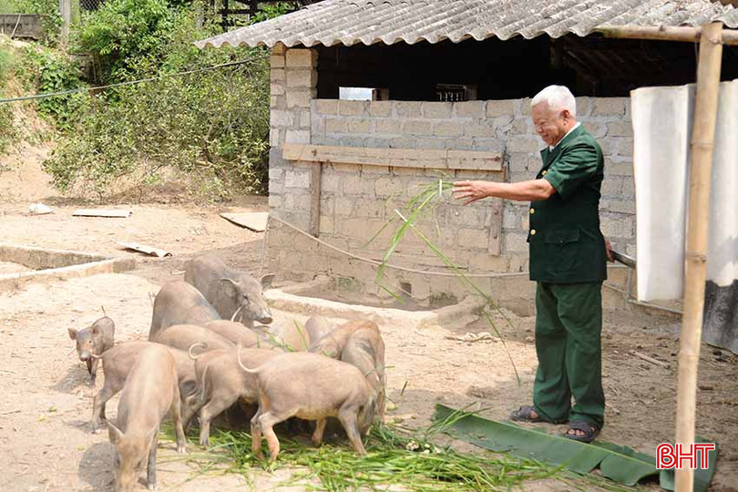 Mô hình kinh tế trang trại tổng hợp của ông Liên cho thu nhập từ 100 - 150 triệu đồng/năm. q5.jpg