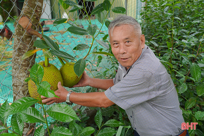 Thương binh Bùi Mạnh Hùng đi đầu trong phong trào xóa bỏ vườn tạp. h4.jpg