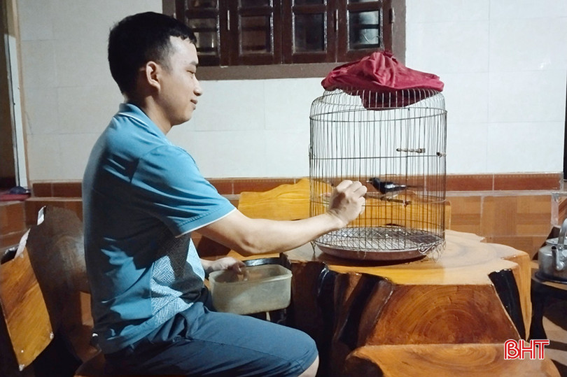 Thú vui chăm sóc chim cảnh là liều thuốc "chữa lành" của anh Quốc huu3.jpg