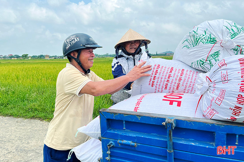 Ông Lê Văn Huệ (phường Nam Hồng, TX Hồng Lĩnh) vui mừng khi lúa được mùa, được giá, chi phí thuê gặt phù hợp. l3.jpg