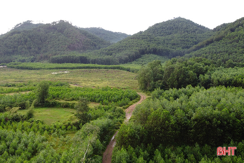 Xã Sơn Tiến hiện có hơn 1.300,5 ha rừng. kl7.jpg