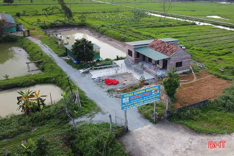 HTX chồn hương Khánh Ngọc thành có quy mô gần 1 ha với tổng mức đầu tư khoảng 5 tỷ đồng. a2.jpg