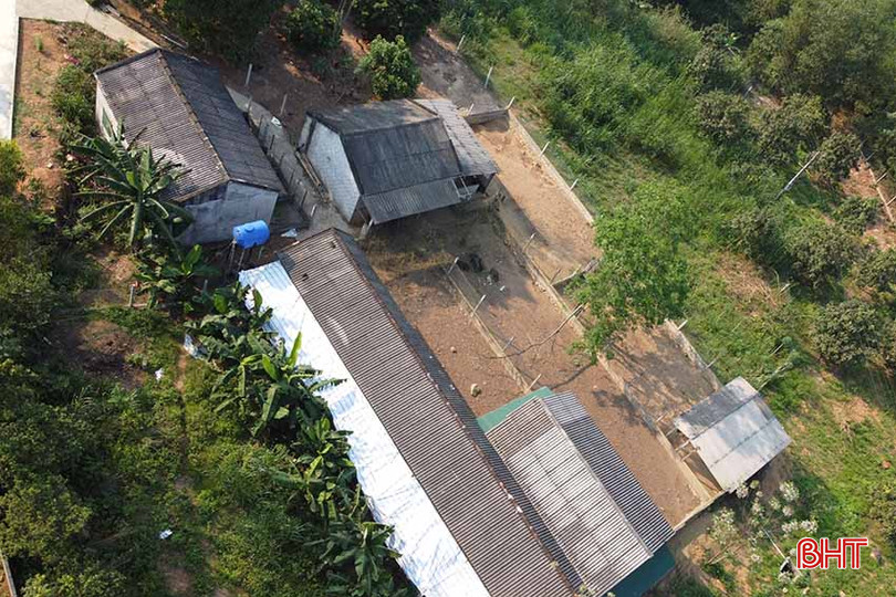 Khu vực chăn nuôi lợn rừng và gà của trang trại anh Nguyễn Đình Sao. 3.jpg