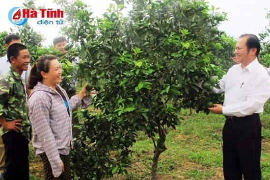Thực hiện Chương trình xây dựng NTM, năm 2015, toàn tỉnh phát triển mới gần 1.800 mô hình, nâng tổng số mô hình toàn tỉnh lên con số trên 9.000
