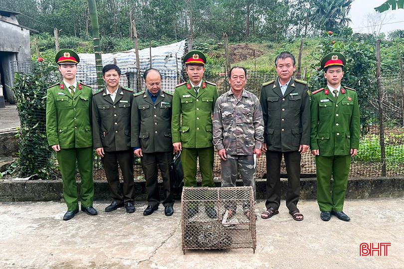 Hạt kiểm lâm Đức Thọ cùng các lực lượng chức năng tiếp nhận 2 cá thể trăn đất của người dân bàn giao.