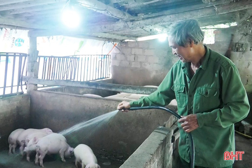 Mô hình chăn nuôi lợn của CCB Phan Văn Mai, thôn Châu Tùng, xã Tùng Ảnh cho thu nhập cao. bqbht_br_2.jpg