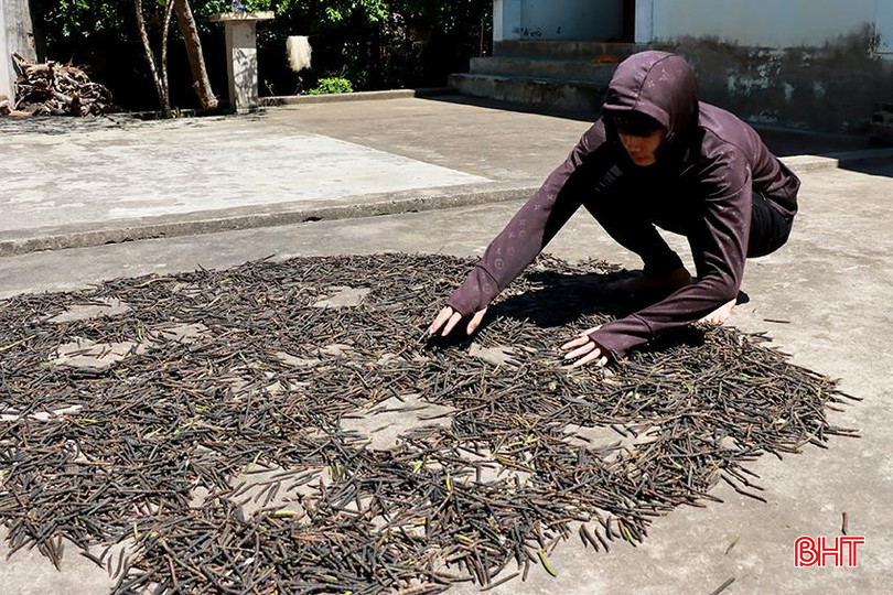 Minh thường xuyên giúp đỡ bố mẹ làm việc đồng áng cũng như việc nhà. 5.jpg