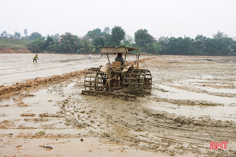 Sản xuất lúa gạo trên ruộng rươi nên người nông dân chỉ sử dụng phân chuồng không sử dụng phân hóa học, thuốc BVTV nên hạt gạo đạt chất lượng ngon và sạch bqbht_br_7.jpg