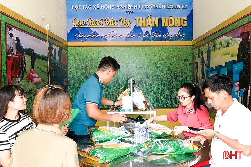 "Gạo rươi Đức Thọ" được cấp đăng ký nhãn hiệu chứng nhận trong năm 2024. bqbht_br_2.jpg