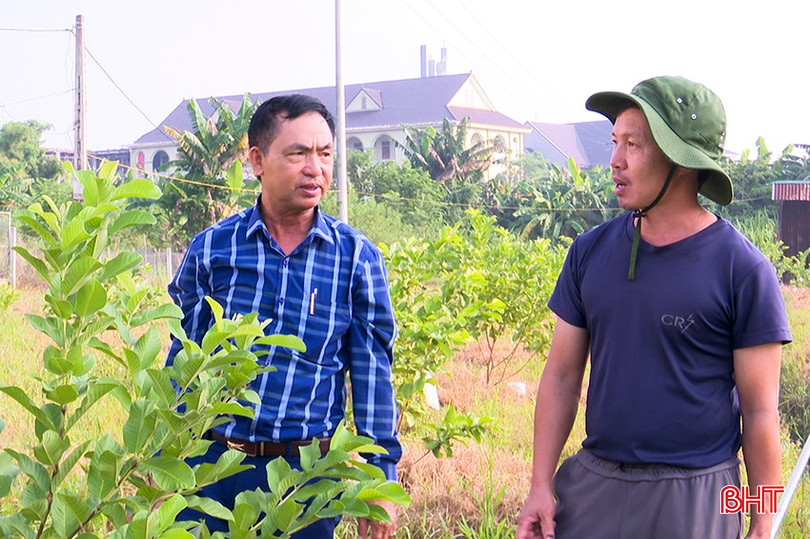 Ngoài việc chăm sóc vườn cây ăn quả rộng hàng nghìn m , ông Phúc còn truyền đạt kinh nghiệm mà mình học hỏi được cho bà con nông dân tại địa phương bqbht_br_2.jpg