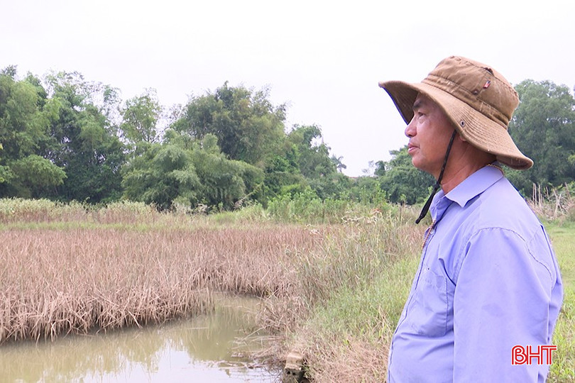Ông Nguyễn Đình Phúc đã "biến" những cánh đồng hoang thành những vườn cây ăn quả có giá trị cao. bqbht_br_9.jpg