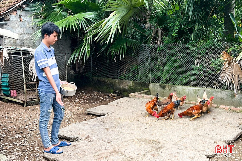 Ngoài việc học tập, Nam thường xuyên phụ giúp việc nhà để đỡ đần cho mẹ hiện đang mắc bệnh hiểm nghèo. bqbht_br_7.jpg