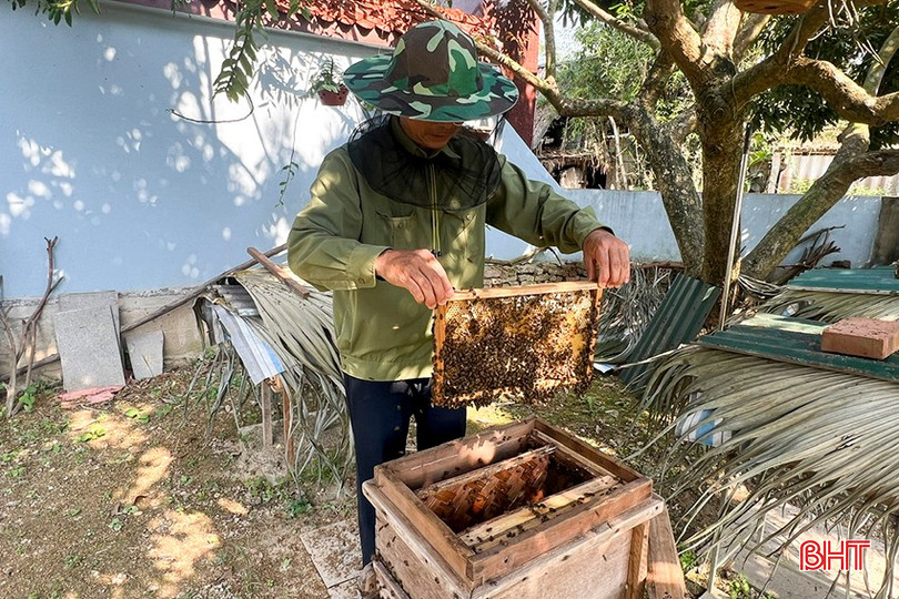Nhờ được tập huấn kỹ thuật, tham quan học hỏi, chất lượng đàn ong và mật ong của các hội viên được nâng lên. bqbht_br_6.jpg