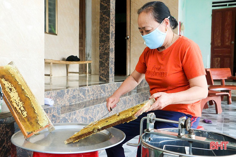 Người dân thu hoạch mật ong bqbht_br_1.jpg