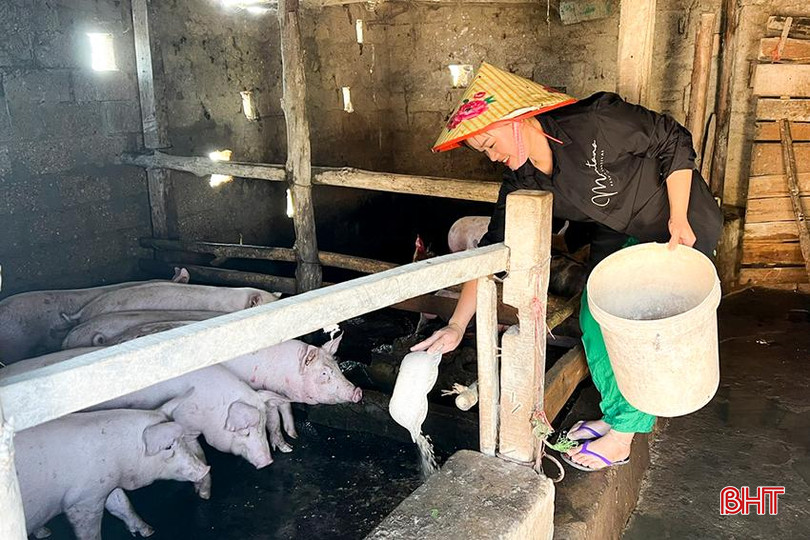 Nhờ có nguồn vốn vay của NHCSXH, cặp vợ chồng trẻ đã mạnh dạn đầu tư làm trang trại chăn nuôi tổng hợp 7.jpg