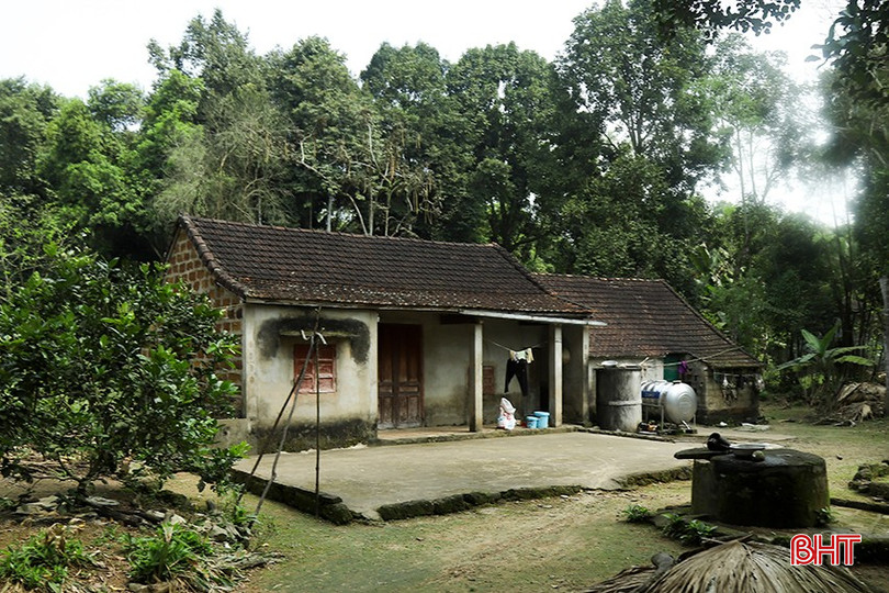 Điều đáng quý, dù cuộc sống của các gia đình thuộc chủ sở hữu vườn cây này còn nhiều khó khăn, song cả đại gia đình đều quyết tâm giữ gìn dẫu có nhiều người hỏi mua với giá cao. &quot;Tất cả anh em chúng tôi đều kiên quyết không bán và dặn dò con cháu giữ lại như món quà kỷ niệm của cha ông; đồng thời tạo khoảng không gian xanh làm đẹp thêm cho thôn, cho xã&quot; - ông Nguyễn Văn Thanh chia sẻ.