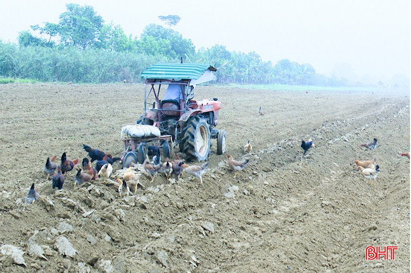 Tranh thủ thời tiết thuận lợi, nông dân Đức Thọ ra đồng làm đất bắt đầu cho vụ trồng sắn. bqbht_br_12.jpg