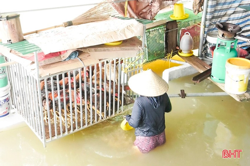 Tầng 1 của những ngôi nhà tránh lũ được các hộ dân chăn nuôi và để một số vật dụng phục vụ cho sản xuất 6.jpg