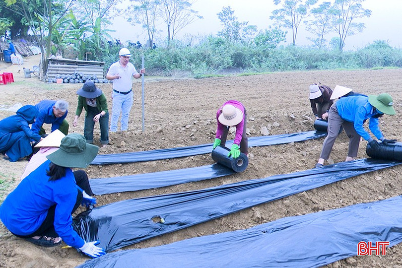 Bà con xã Liên Minh ra quân xuống giống sắn cao sản. bqbht_br_a1.jpg