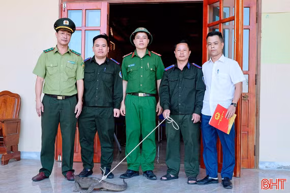 Người dân phát hiện cá thể kỳ đà vân quý hiếm lúc làm vườn