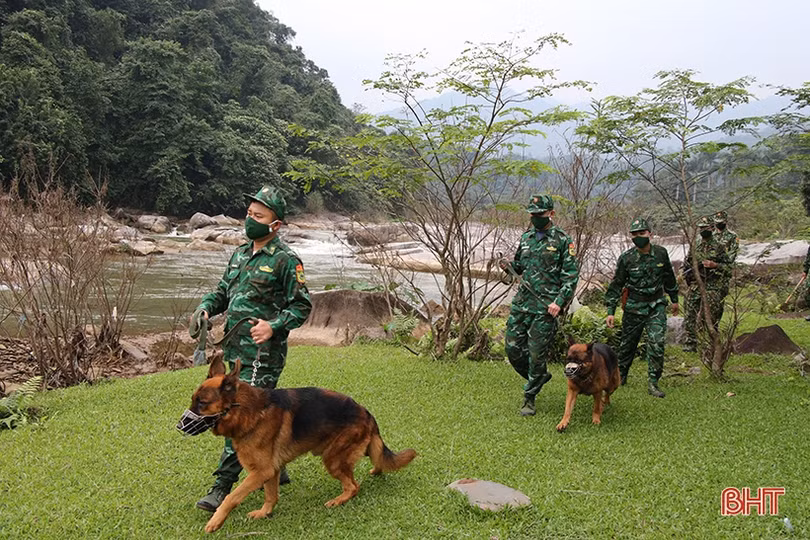 Cảnh khuyển - người bạn đặc biệt của Bộ đội Biên phòng Hà Tĩnh