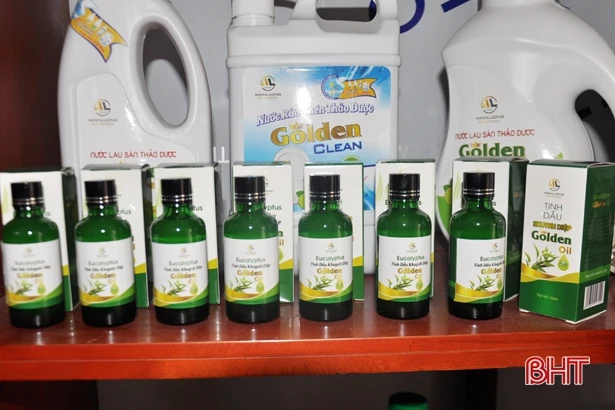 HTX trẻ ở Hà Tĩnh tiêu thụ nông sản cho nông dân, tạo việc làm cho phụ nữ