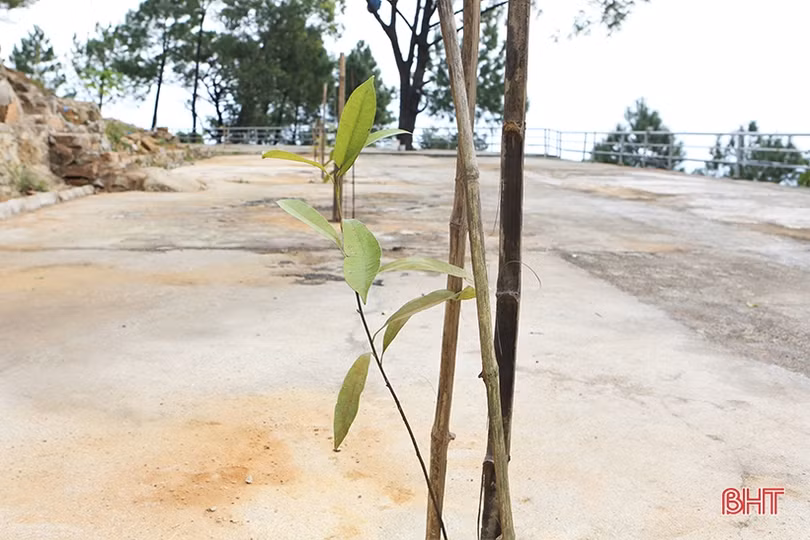 Chùa Hương Tích ở Hà Tĩnh thay đổi ra sao trước mùa lễ hội 2022?