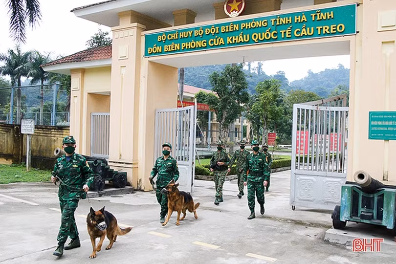 Cảnh khuyển - người bạn đặc biệt của Bộ đội Biên phòng Hà Tĩnh