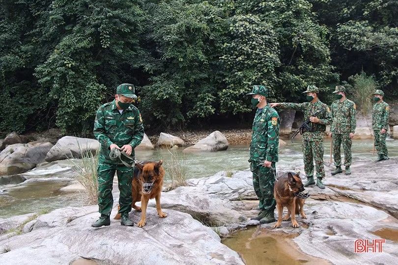 Cảnh khuyển - người bạn đặc biệt của Bộ đội Biên phòng Hà Tĩnh