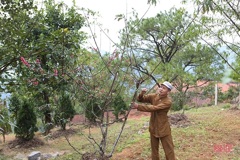 Chùa Hương Tích ở Hà Tĩnh thay đổi ra sao trước mùa lễ hội 2022?