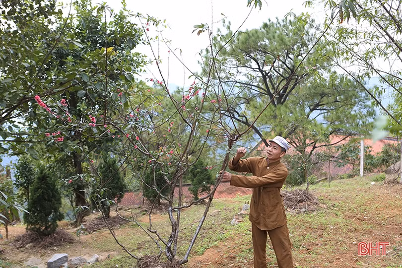Chùa Hương Tích ở Hà Tĩnh thay đổi ra sao trước mùa lễ hội 2022?