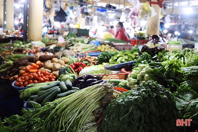 Nguồn cung ở Hà Tĩnh dồi dào, giá rau xanh làm vui lòng các bà nội trợ