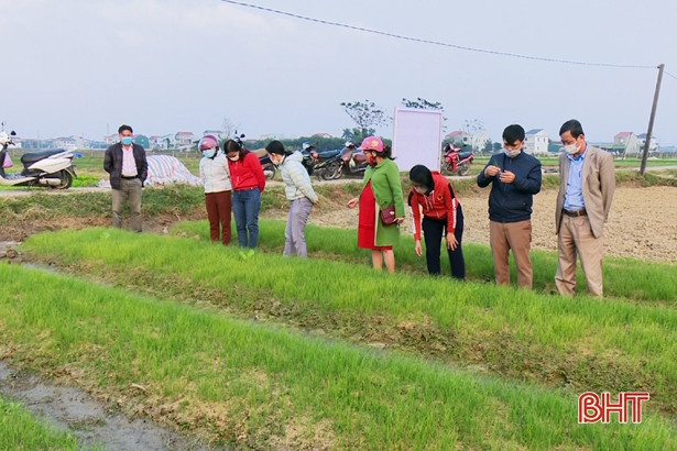 Các mô hình thử nghiệm sản xuất nông nghiệp tại TP Hà Tĩnh cho kết quả khả quan