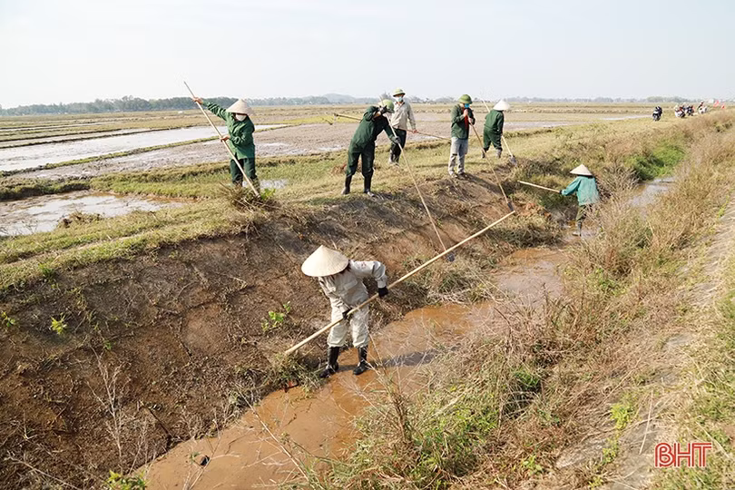 Hà Tĩnh: Thực hiện đồng bộ giải pháp đảm bảo sản xuất vụ xuân thắng lợi