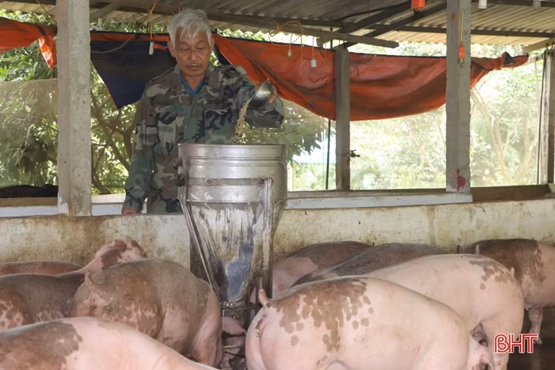 Những tấm gương “tuổi cao chí khí càng cao” ở Vũ Quang