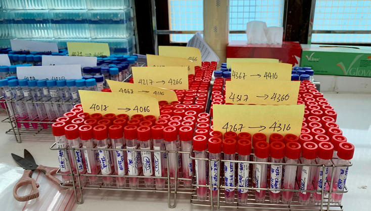Sáng 31/8, Quảng Bình ghi nhận 95 ca mắc COVID-19
