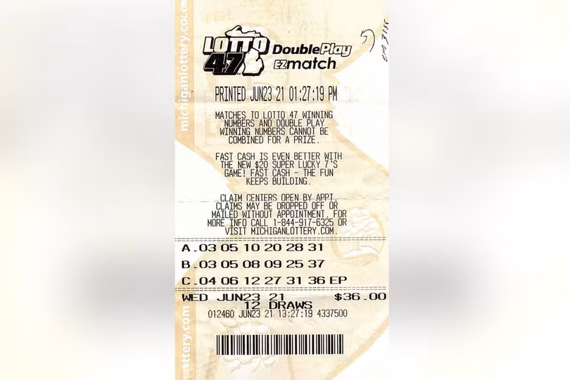 Người đàn ông dành 33 năm biến nhà thành lâu đài ảnh 8 Người đàn ông dành 33 năm biến nhà thành lâu đài