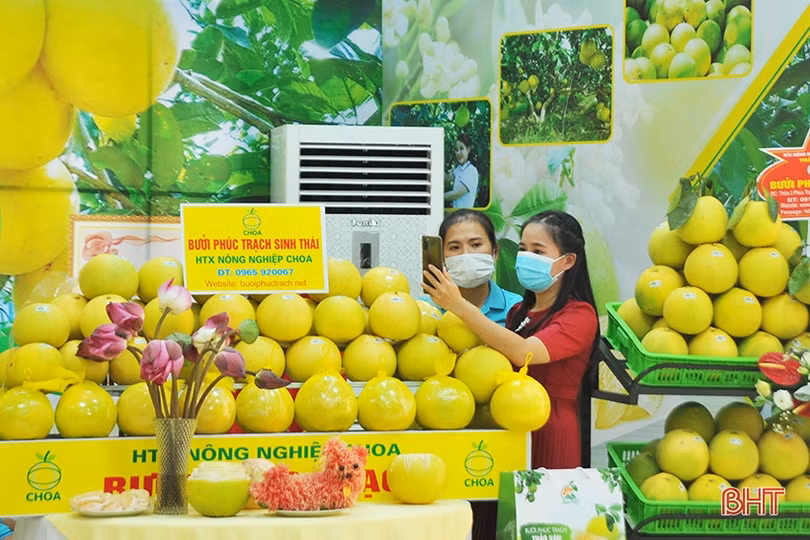 Ấn tượng những gian hàng tại Hội nghị xúc tiến thương mại, kết nối tiêu thụ bưởi Phúc Trạch