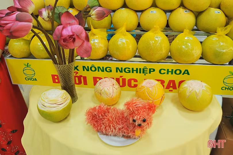 Ấn tượng những gian hàng tại Hội nghị xúc tiến thương mại, kết nối tiêu thụ bưởi Phúc Trạch