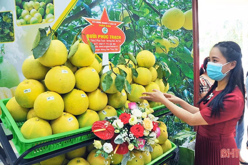 Ấn tượng những gian hàng tại Hội nghị xúc tiến thương mại, kết nối tiêu thụ bưởi Phúc Trạch