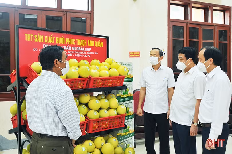 Ấn tượng những gian hàng tại Hội nghị xúc tiến thương mại, kết nối tiêu thụ bưởi Phúc Trạch