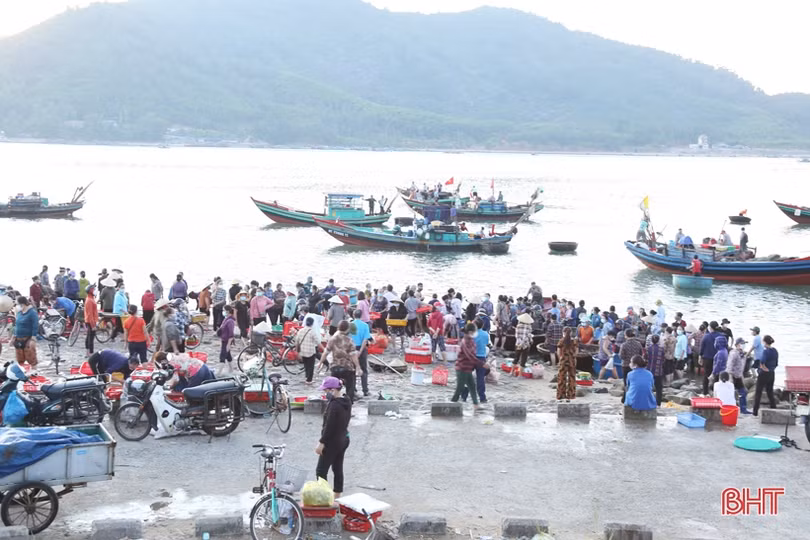 Lộc Hà, Cẩm Xuyên cần siết chặt hơn nữa công tác phòng, chống dịch tại cảng cá, bến cá