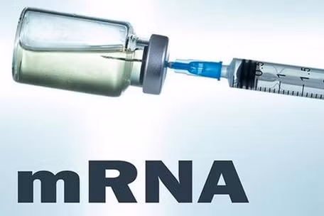 Ấn Độ hy vọng sớm trở lại “đường đua” xuất khẩu vaccine ngừa COVID-19