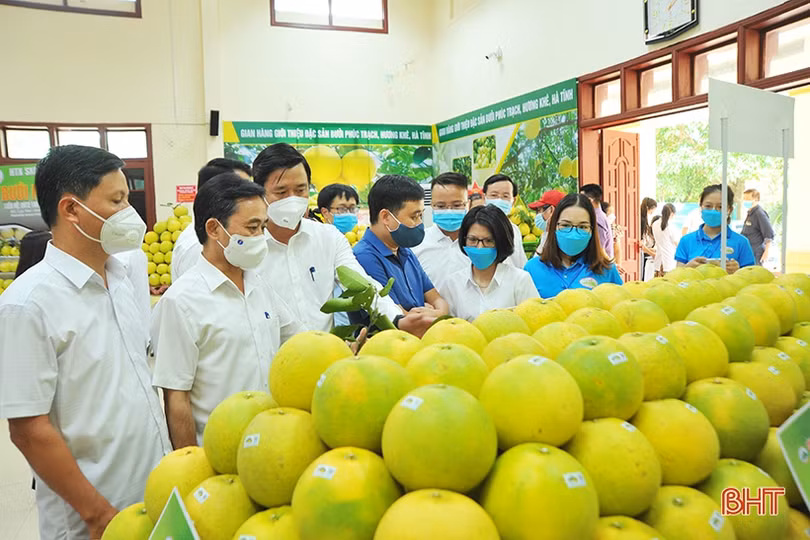 Ấn tượng những gian hàng tại Hội nghị xúc tiến thương mại, kết nối tiêu thụ bưởi Phúc Trạch