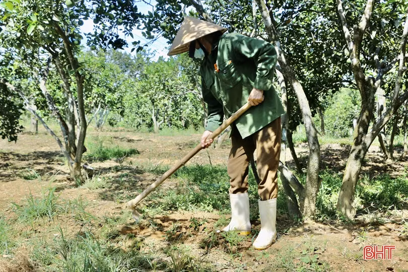 Người dân Hà Tĩnh phấn khởi làm nông thôn mới trong kỳ nghỉ lễ