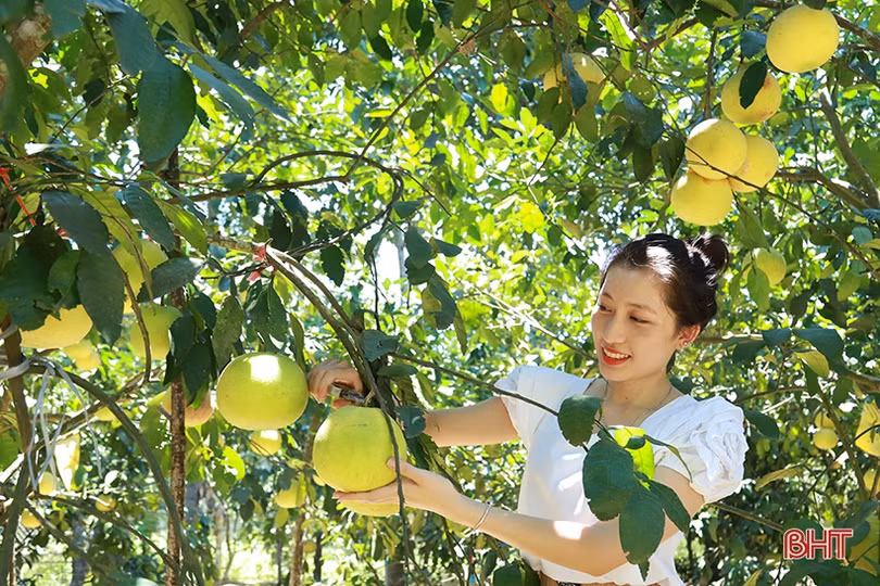 Những gam màu sáng trong “bức tranh” kinh tế - xã hội Hà Tĩnh giữa đại dịch