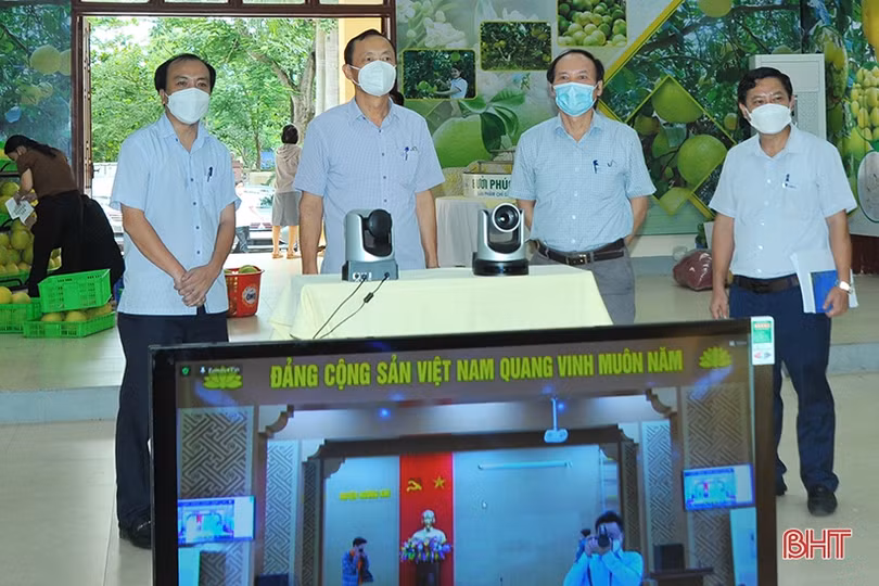 Hà Tĩnh sẵn sàng tổ chức hội nghị kết nối tiêu thụ bưởi Phúc Trạch