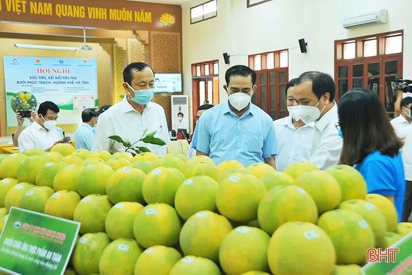 Ấn tượng những gian hàng tại Hội nghị xúc tiến thương mại, kết nối tiêu thụ bưởi Phúc Trạch