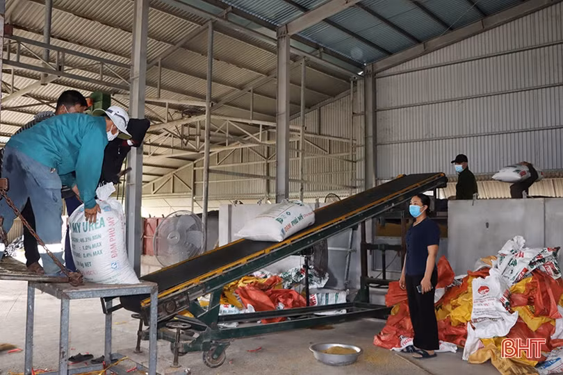 Mùa vui trên những cánh đồng liên kết sản xuất lúa giống ở Hà Tĩnh