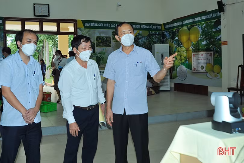 Hà Tĩnh sẵn sàng tổ chức hội nghị kết nối tiêu thụ bưởi Phúc Trạch
